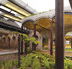 Tonkin Zulaikha Greer - Architects Sydney