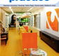 Damien McQuillan Architect Pty Ltd - Architects Sydney